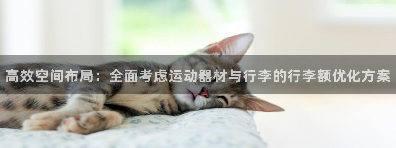 BWIN体育官网下载招商电话号码是多少：高效空间布局：全面考