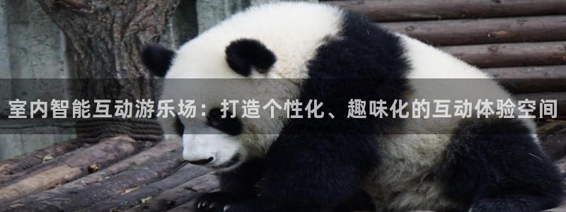 BWIN体育官方正版app开户：室内智能互动游乐场：打造个性