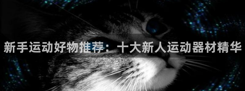 BWIN体育官方正版app神州：新手运动好物推荐：十大新人运