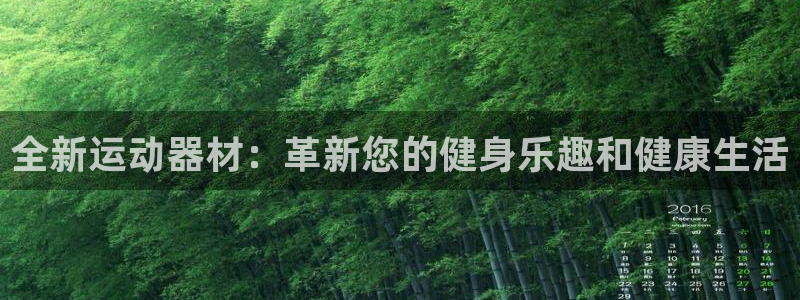 BWIN体育官方正版app集团官网首页网址：全新运动器材：革