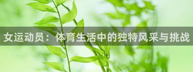 bbin视讯