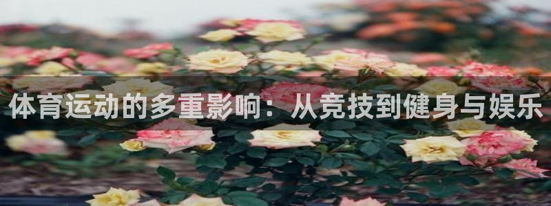 bbin视讯游戏平台