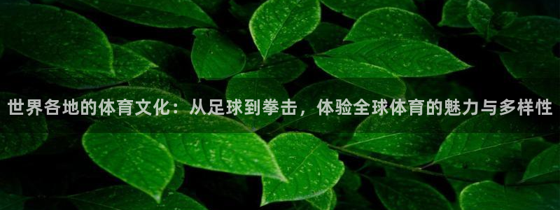 bbin视讯游戏官网：世界各地的体育文化：从足球到拳击，体验全球体育的魅力与多样性
