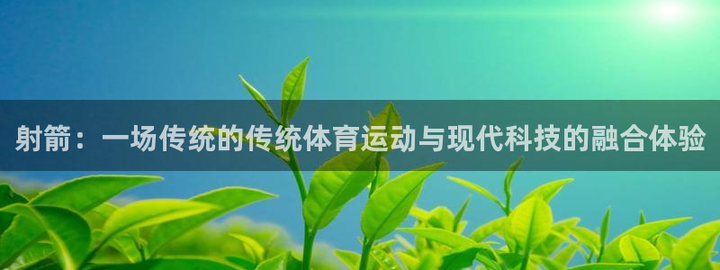 bbin视讯下：射箭：一场传统的传统体育运动与现代科技的融合体验