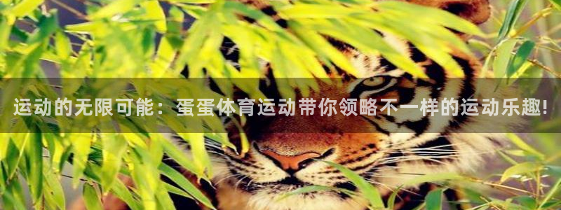 bbin视讯游戏官网：运动的无限可能：蛋蛋体育运动带你领略不一样的运动乐趣!