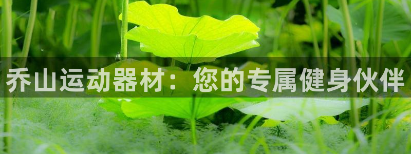 BWIN体育官方正版app集团logo