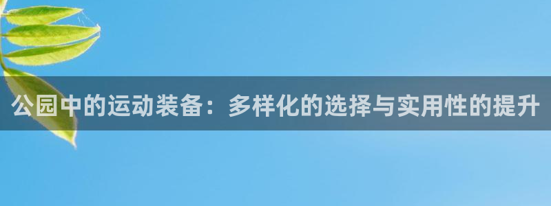 BWIN体育官方正版app集团官网首页网址:公园中的运动装备