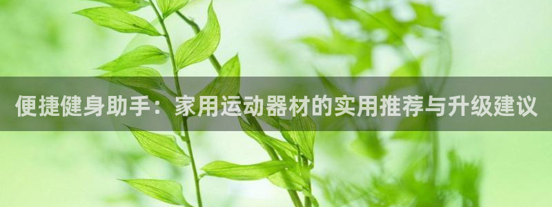 BWIN官方集团官网：便捷健身助手：家用运动器材的实用推荐与