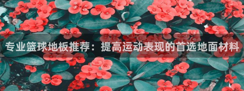 bbin视讯游戏平台：专业篮球地板推荐：提高运动表现的首选地面材料