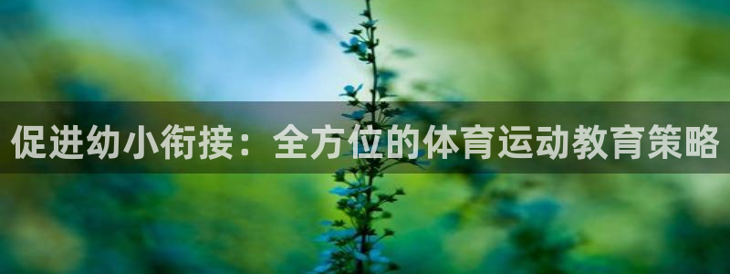 bbin视讯下：促进幼小衔接：全方位的体育运动教育策略